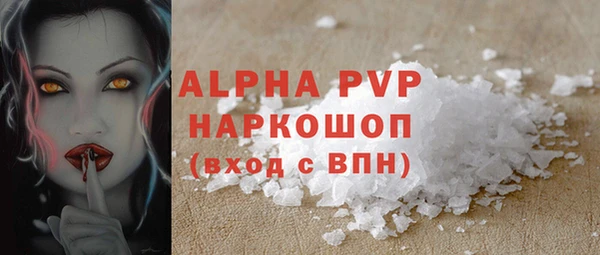 гидра Алексин