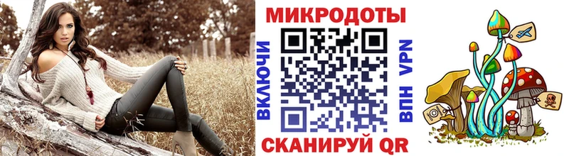 Галлюциногенные грибы Psilocybine cubensis Заинск